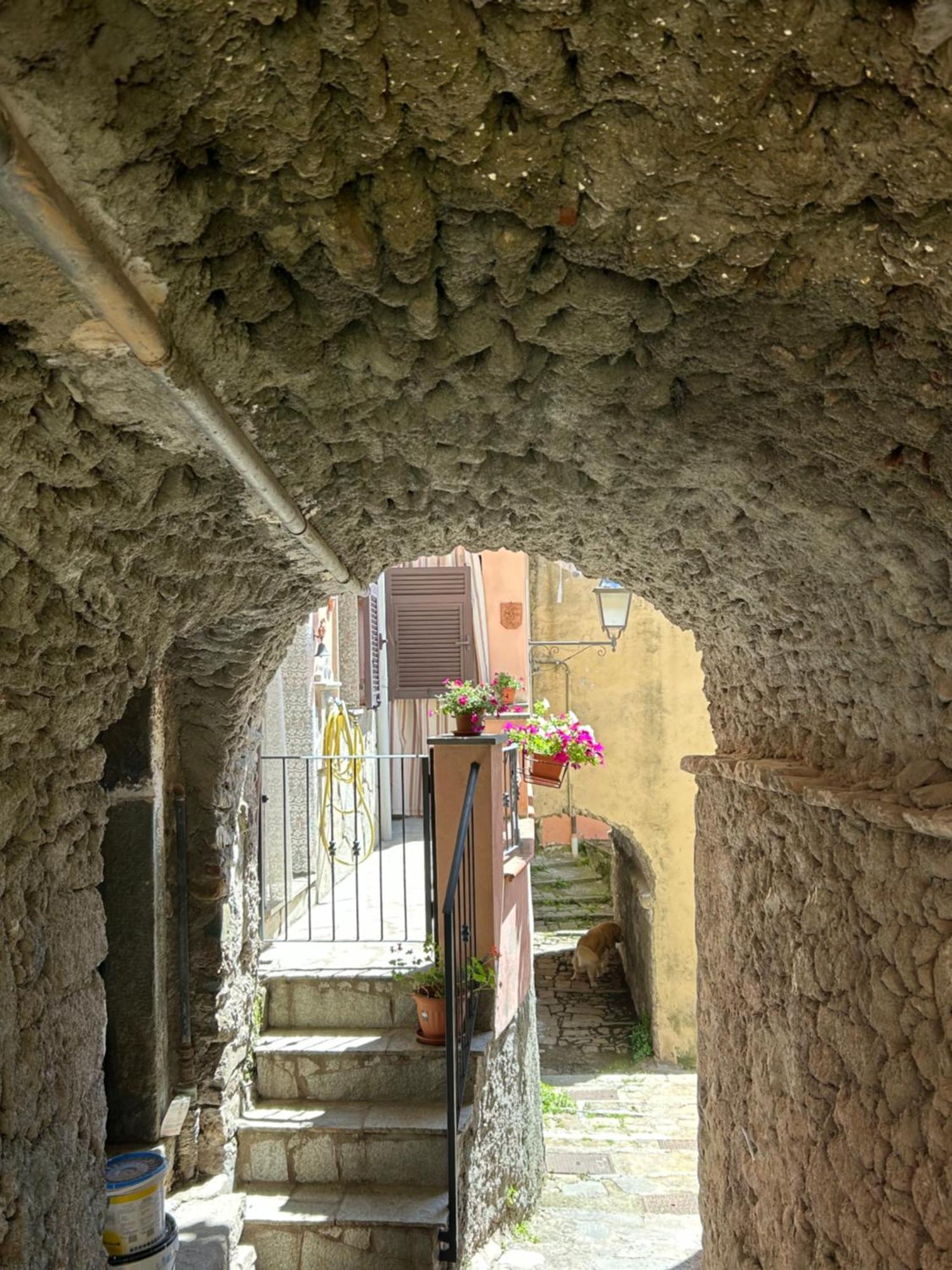 Ca De Igiu-Biassa-Cinque Terre Leilighet Eksteriør bilde
